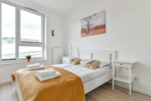 One-Bedroom Apartment image 3