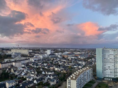 Rennes vue des Horizons