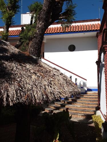 Viesnīcas āriene, El mana de San Francisco in Ejido Eréndira