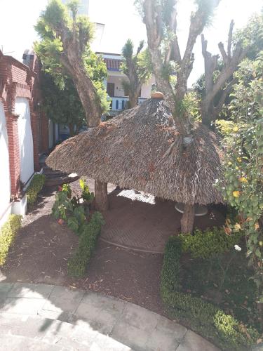 Dārzs, El mana de San Francisco in Ejido Eréndira