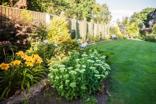 City Center Garden Camping - image 9