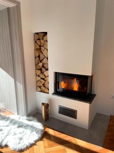 Gozdni raj Rogla apartma 1