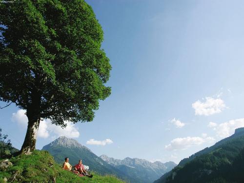 Alpine Lodge XL - image 3
