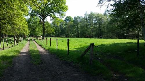 Het Innerhof, Oudsbergen (fotografie 9)