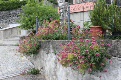 apartment vista legnone