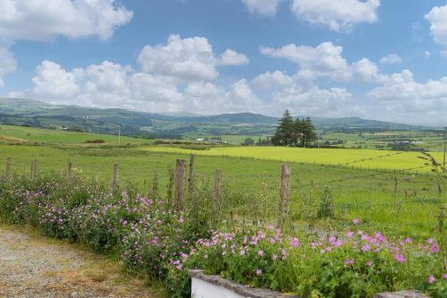 Summer Cottage located in rural Welsh Countryside, beautiful mountain views, Ideal for Snowdonia walkers