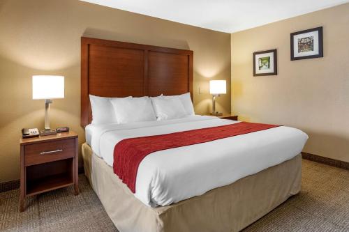 Comfort Inn Asheville Biltmore West - image 6