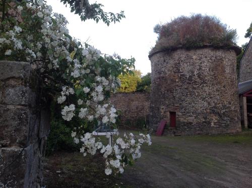 Chambres d'hôtes Château de Bonabry