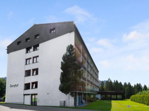  Comfortable apartment in Ellmau with balconies in Ellmau