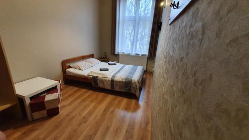 Dream Hostel & Apartments 4