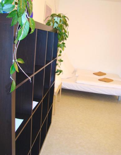 BNB near Brandenburg Gate - Rooms & Apartments, Berlino (foto 9)