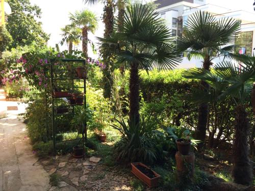 Bed & Breakfast Borka