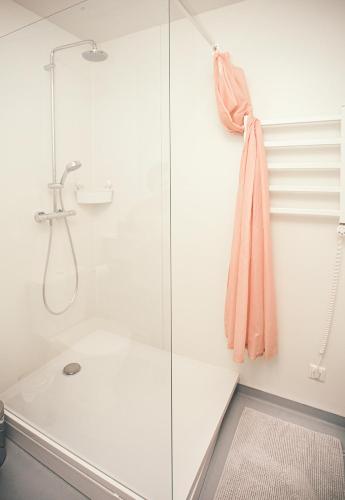 Ring Stop Holiday Apartment Room Type - Duplex Apartment