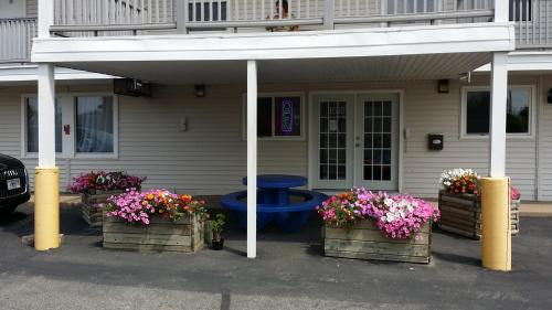 บริการและสิ่งอำนวยความสะดวก, Rodeway Inn La Crosse in ลาครอสส์ (WI)