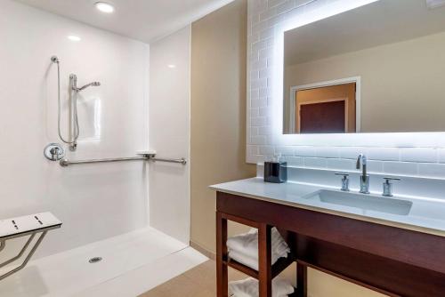 Comfort Suites Newnan - image 5