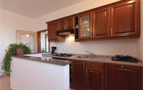 Gorgeous Apartment In Barban With Kitchen