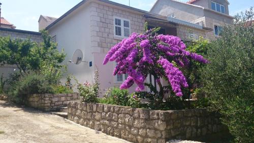 Apartments Laura - Korčula