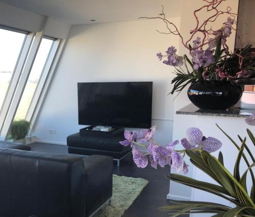  Appartement Modern Egmond in Egmond aan Zee