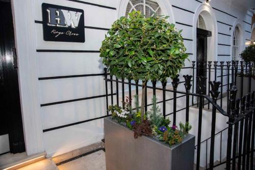 Howard Winchester Hotel, Londýn (fotografie 7)