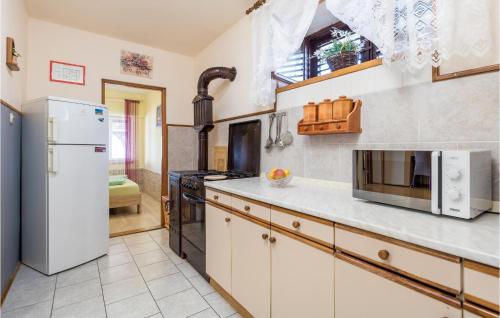 virtuve, Awesome Apartment In Sveti Juraj With Wifi in Sveti Juraj