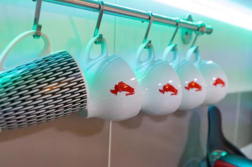 Relaxing Coresi Studio Relaxing Coresi Studio