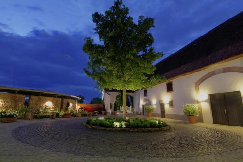 Zeiskamer Mühle - image 6