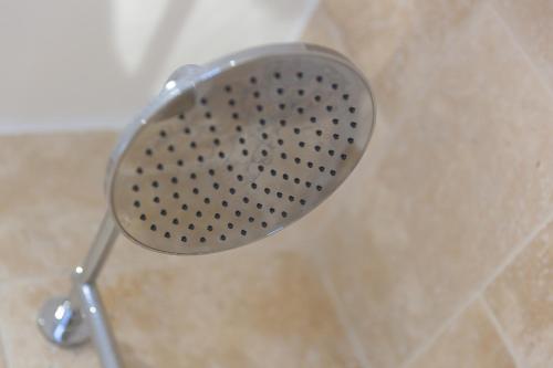 The Reading Room The Reading Room