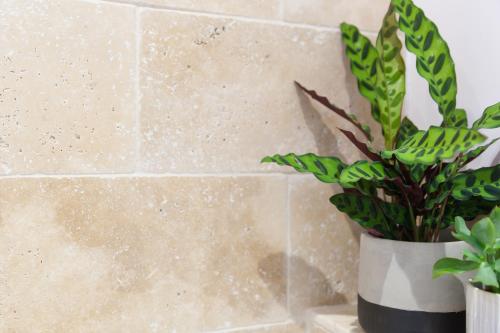 The Reading Room The Reading Room