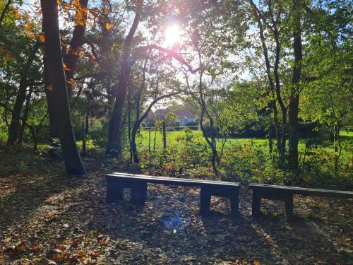 Parkhoeve Glamping