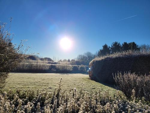 Parkhoeve Glamping