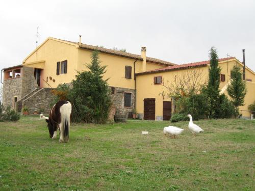  Agriturismo Casale Dell'Aldi, Pension in Manciano bei Manciano