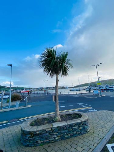 Dingle Marina Lodge