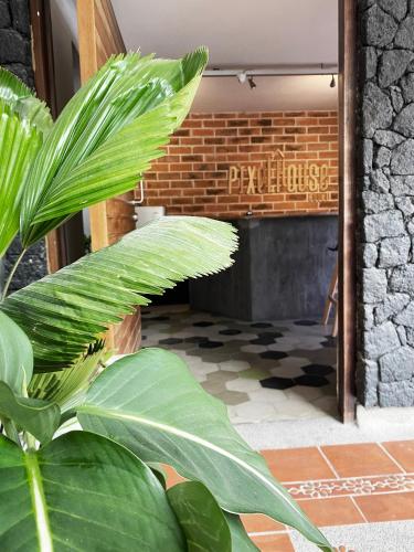 Pixel House Hotel, Medellín