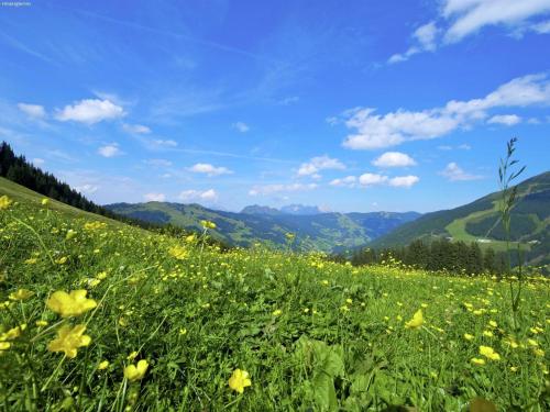 Large chalet apartment in Saalbach Hinterglemm