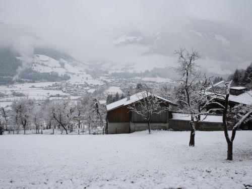 Sunny flat in Mittersill near the ski area