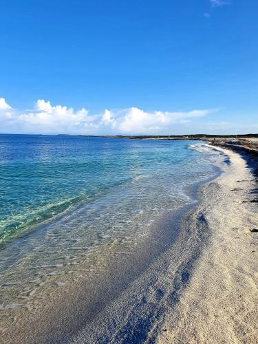 Palmas Anna's rooms Is Procilis