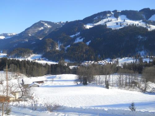 Cozy Chalet in Niederndorf bei Kufstein near Ski Area