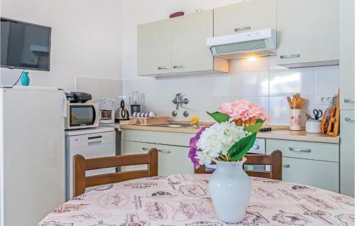 Lovely Home In Klenovica With Kitchen