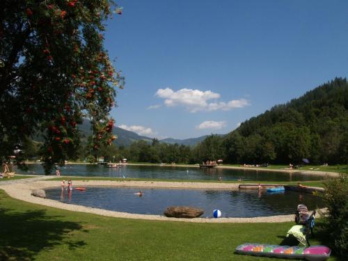 Chalet in Stadl an der Mur Styria with sauna