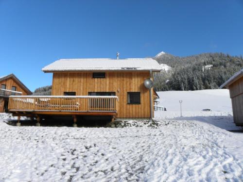 Wooden chalet in Hohentauern with sauna in Hohentauern