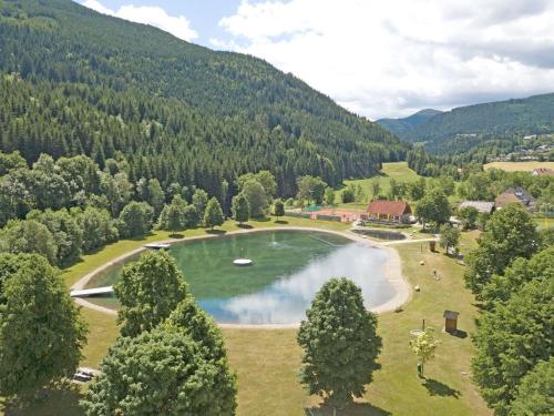 Chalet in Stadl an der Mur in ski area