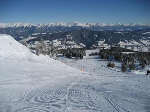 Chalet in Stadl an der Mur in ski area