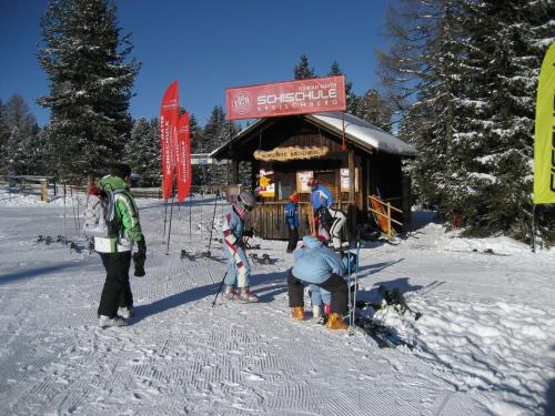 Chalet in Stadl an der Mur in ski area