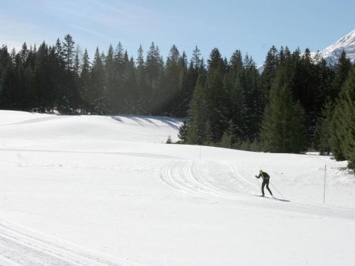 Nice chalet in Hohentauern Styria with sauna