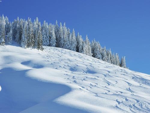 Chalet apartment in Saalbach Hinterglemm