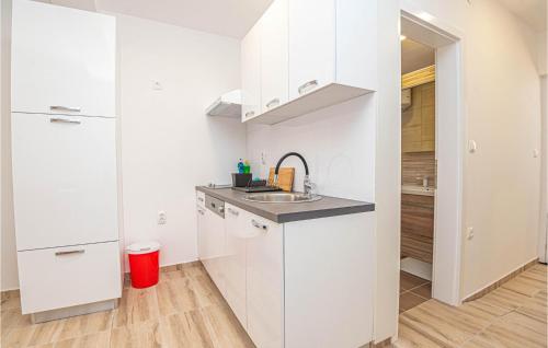 Lovely Apartment In Brodarica With Kitchen