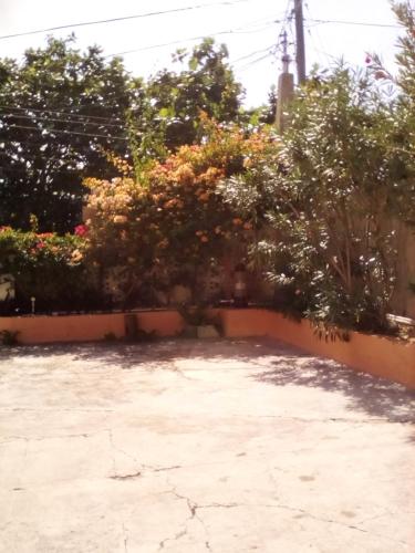 Castlevue B&B – Montego Bay