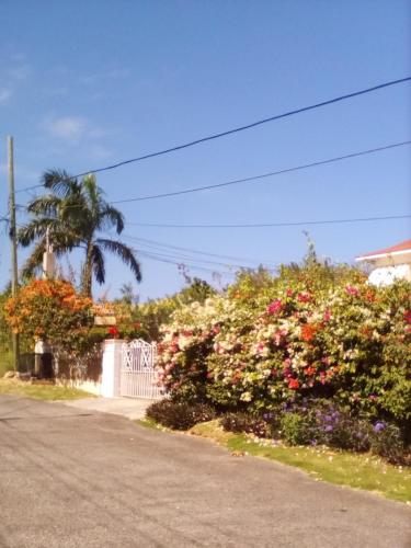Castlevue B&B – Montego Bay
