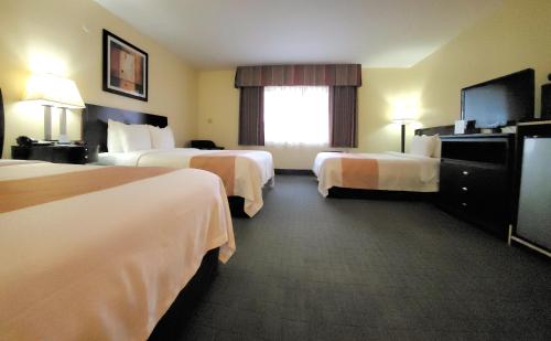 Quality Inn & Suites Anaheim at the Park - main image