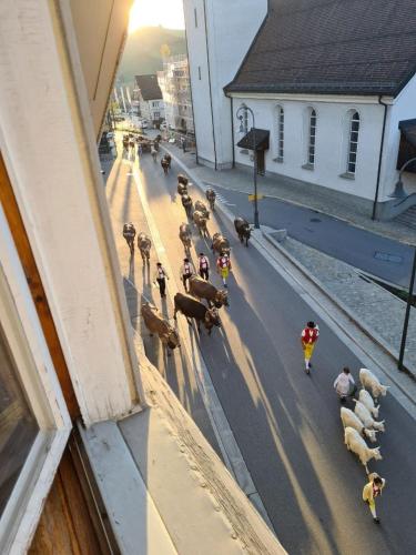 Kilátás, Alpen-Paradies Edelweiss in Urnasch
